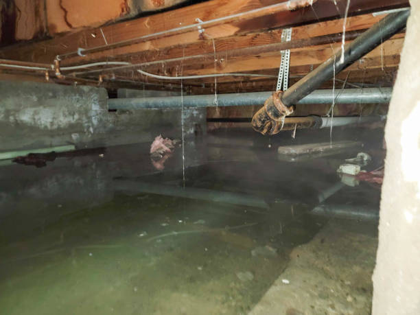 Best Sewage cleanup and water damage restoration  in Streamwood, IL