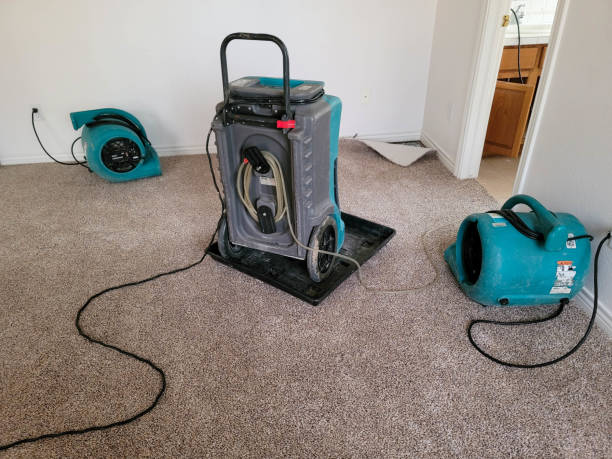 Best Emergency water extraction  in Streamwood, IL