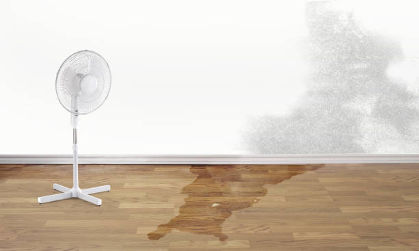 Best Water damage restoration experts  in Streamwood, IL