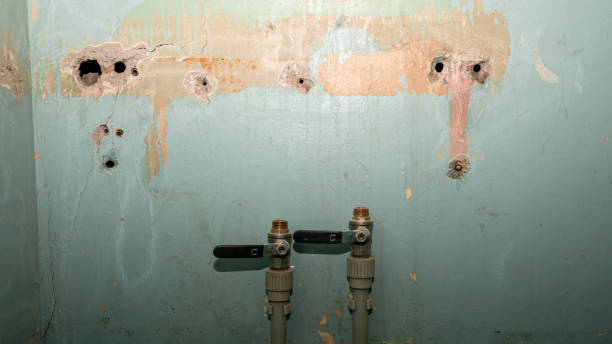 Best Residential water damage restoration  in Streamwood, IL