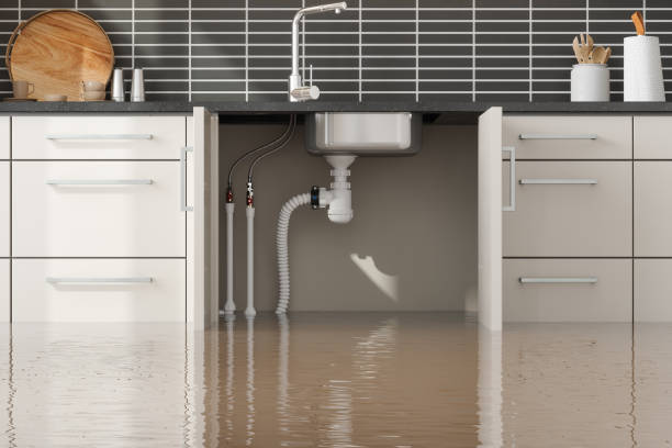 Best Water damage restoration near me  in Streamwood, IL